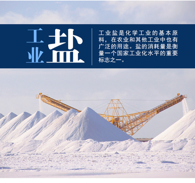 长舟牌高级精制工业盐 工业领域的卓越选择